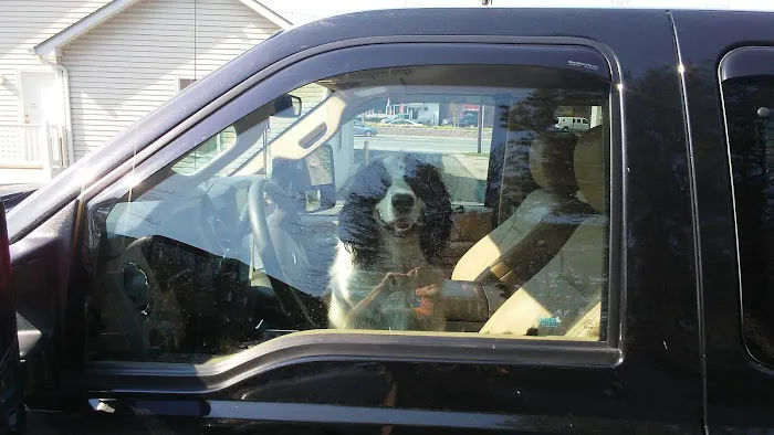 Edgewood Veterinary Hospital 2