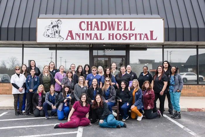 Chadwell Animal Hospital 12