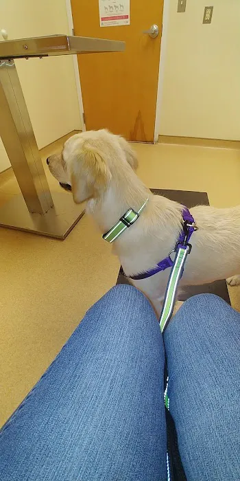 Chadwell Animal Hospital 12