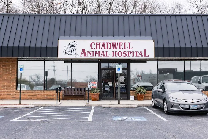 Chadwell Animal Hospital 12