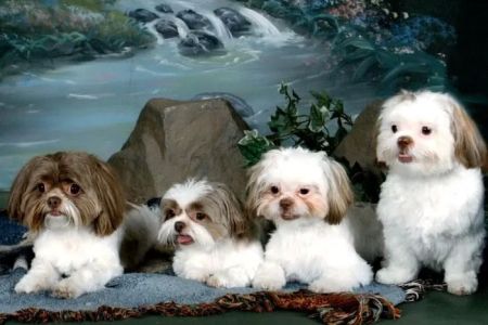 Smithsburg Veterinary Clinic