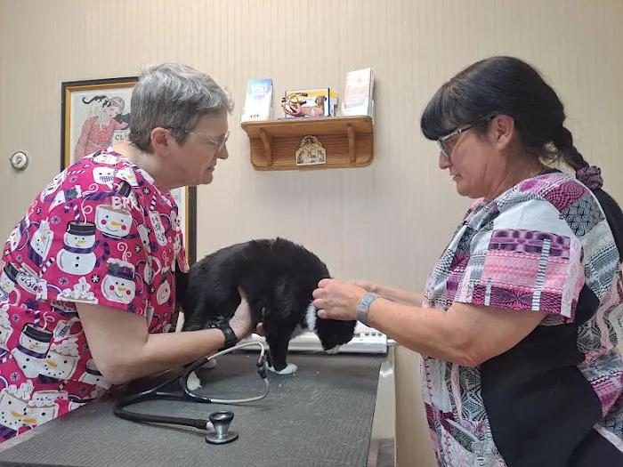 Wayne Heights Animal Hospital 12