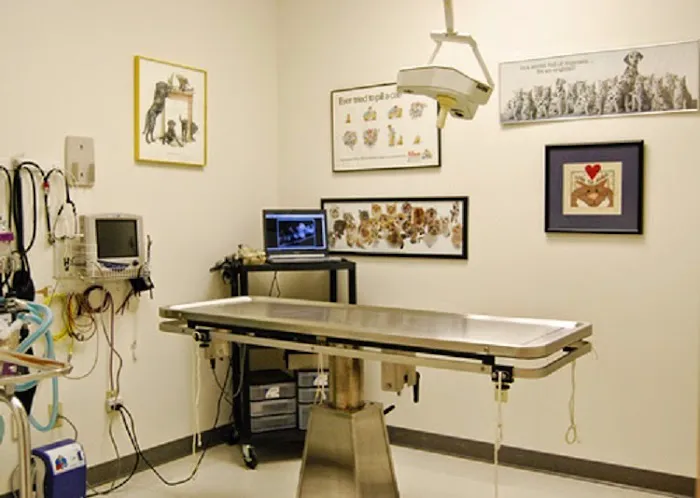 Wayne Heights Animal Hospital 12