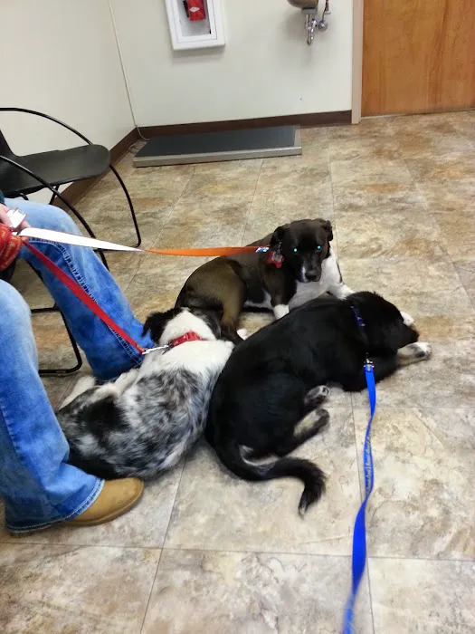 Palmer Animal Hospital 12