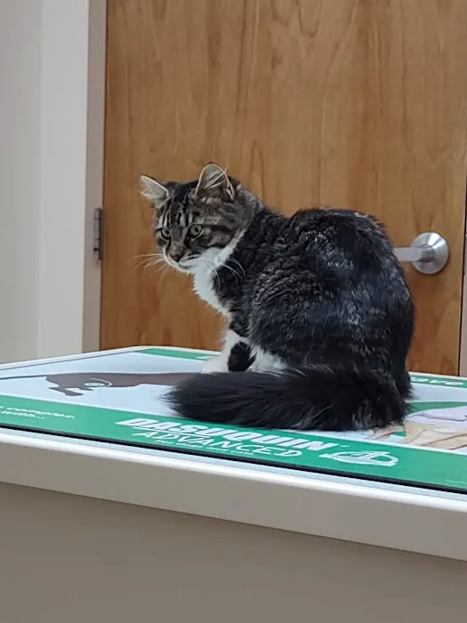 Palmer Animal Hospital 12