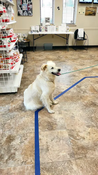 Palmer Animal Hospital 12