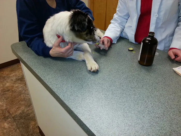 Palmer Animal Hospital 12