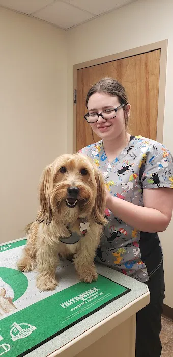 Palmer Animal Hospital 12