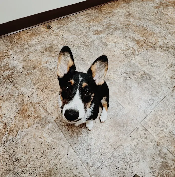 Palmer Animal Hospital 12
