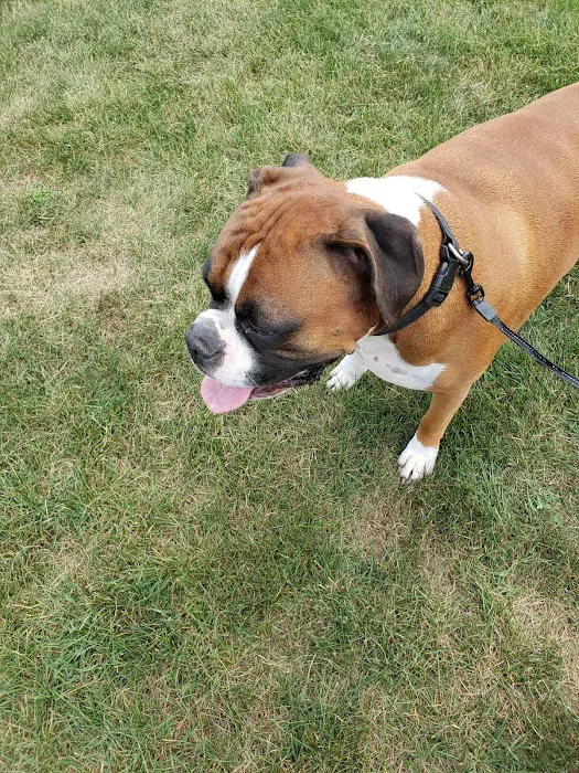 Gettysburg Animal Hospital 12