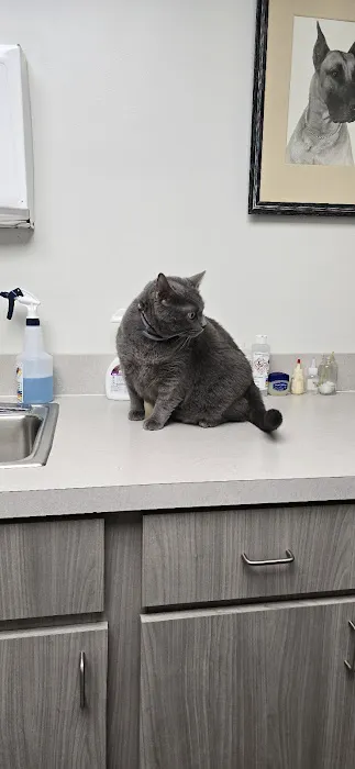 Gettysburg Animal Hospital 12