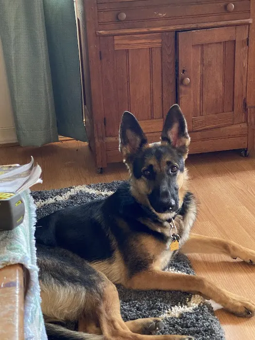 Dr. Flake's Animal Wellness Clinic 12