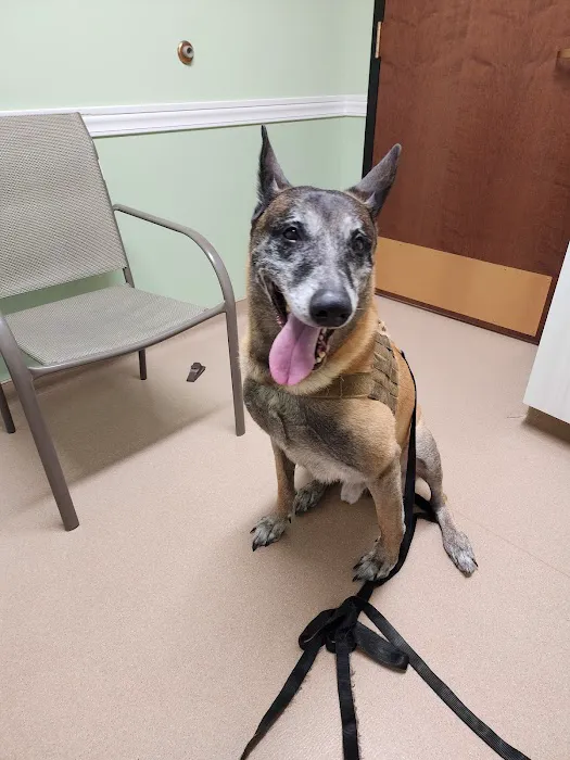 NorthPaws Animal Hospital 12