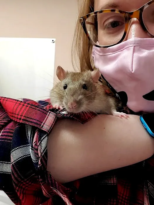NorthPaws Animal Hospital 12