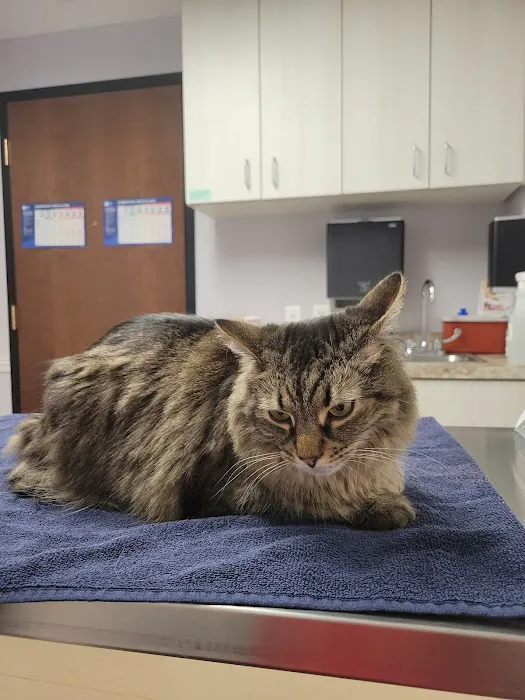 NorthPaws Animal Hospital 12