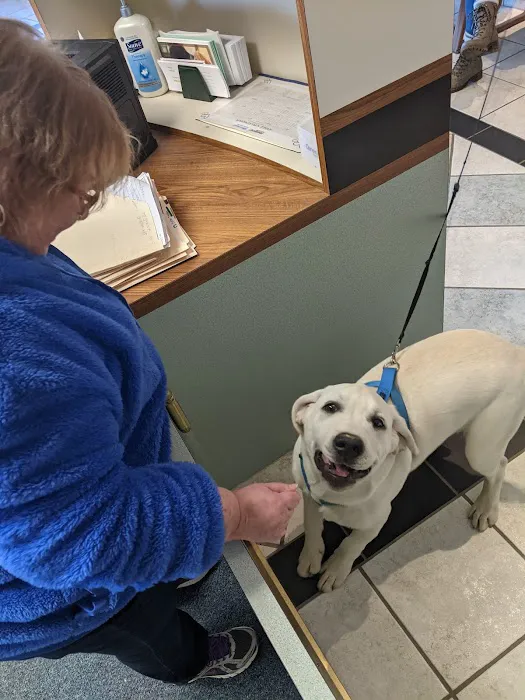 Community Animal Hospital 12