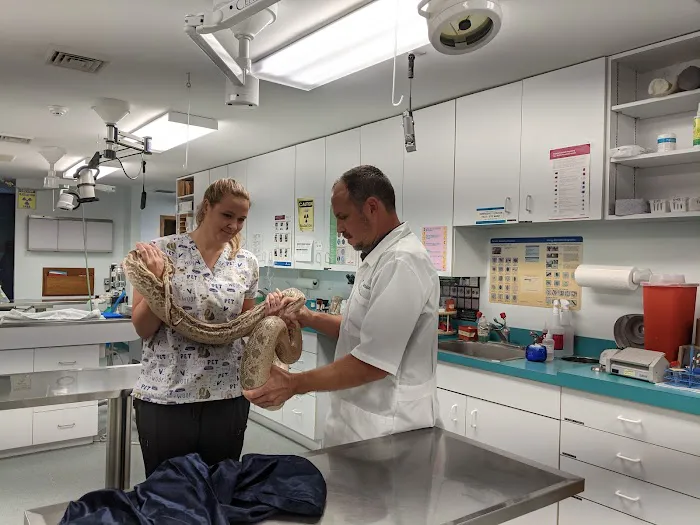 Community Animal Hospital 12