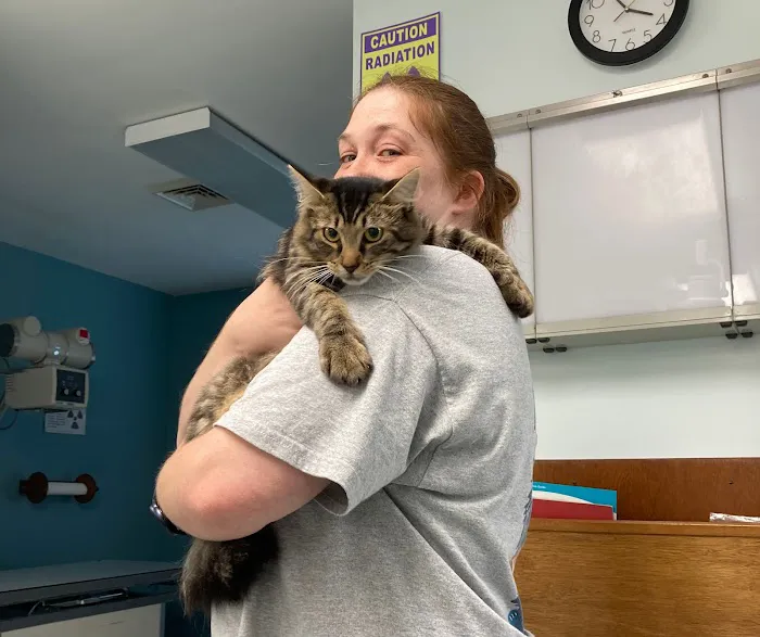 Community Animal Hospital 12