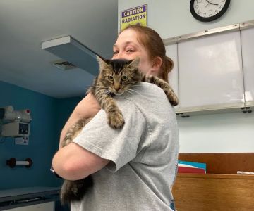 Community Animal Hospital