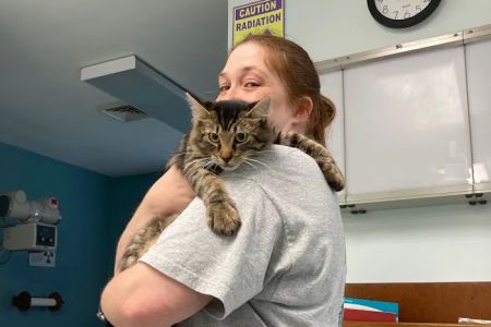 Community Animal Hospital