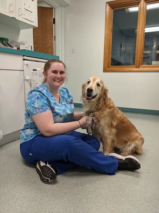 Community Animal Hospital 12