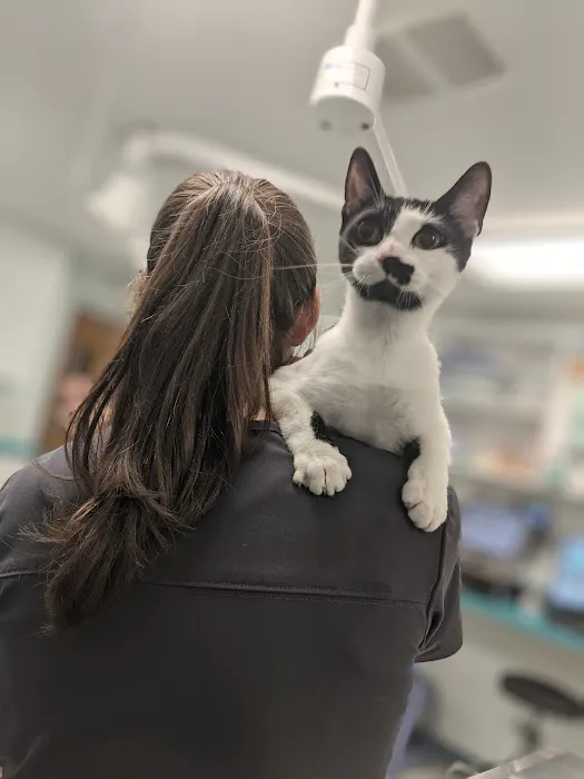 Community Animal Hospital 12