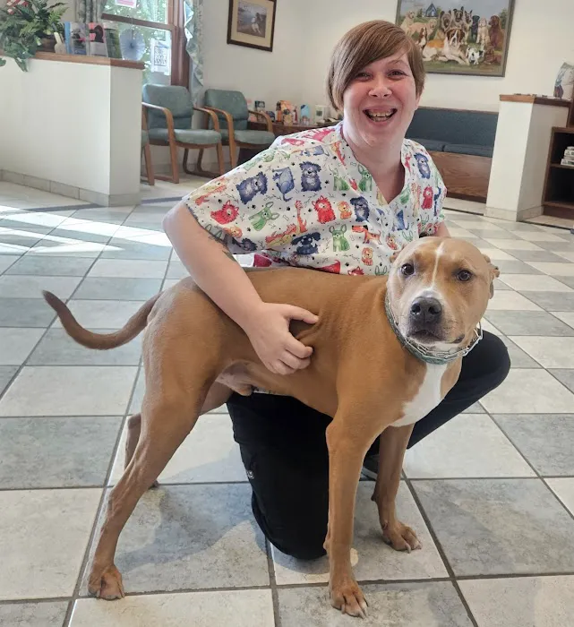 Community Animal Hospital 12