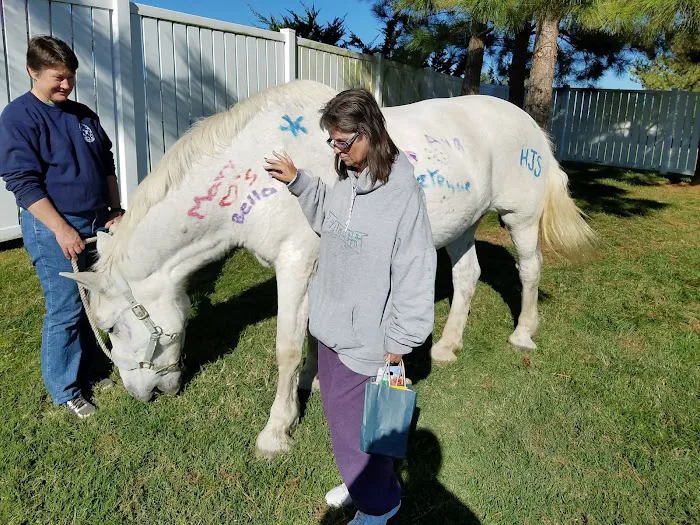 Veterinary Medical Center 12