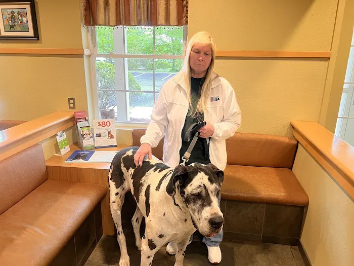 Veterinary Medical Center 12
