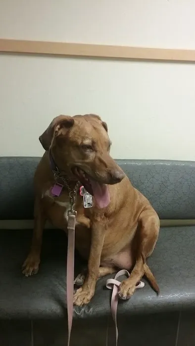 Veterinary Medical Center 12
