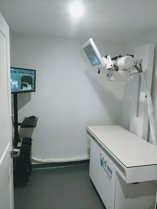 High Street Veterinary Practice 12