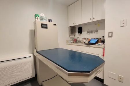 High Street Veterinary Practice