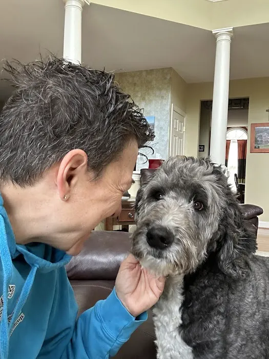 High Street Veterinary Practice 12