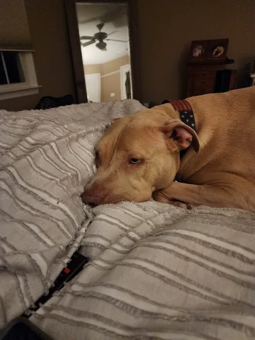 Chestertown Animal Hospital 12