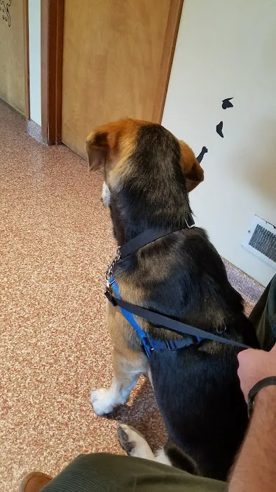 Chestertown Animal Hospital 12