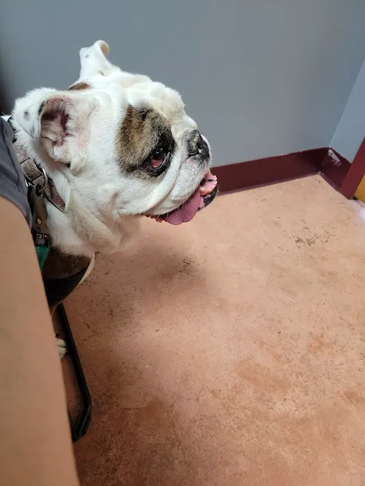 Tidewater Trail Animal Hospital 9