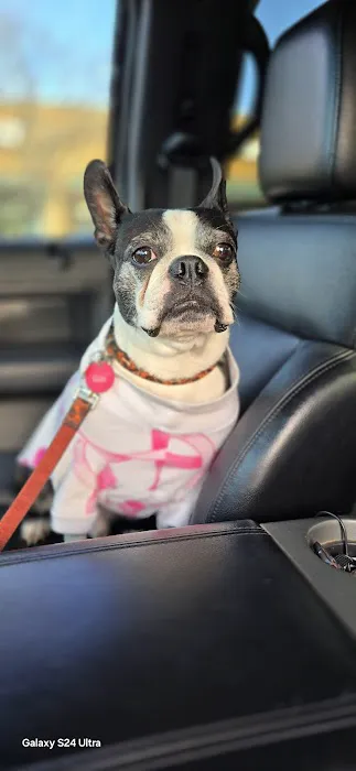Tidewater Trail Animal Hospital 2