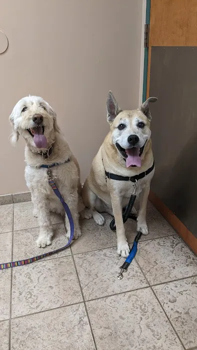 VCA White Oak Animal Hospital 1