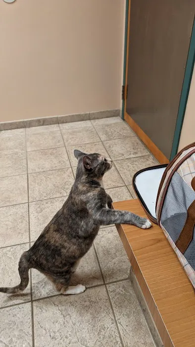 VCA White Oak Animal Hospital 4