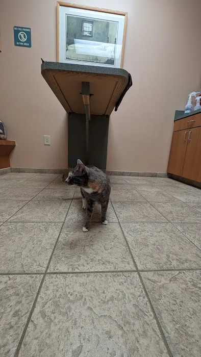 VCA White Oak Animal Hospital 7