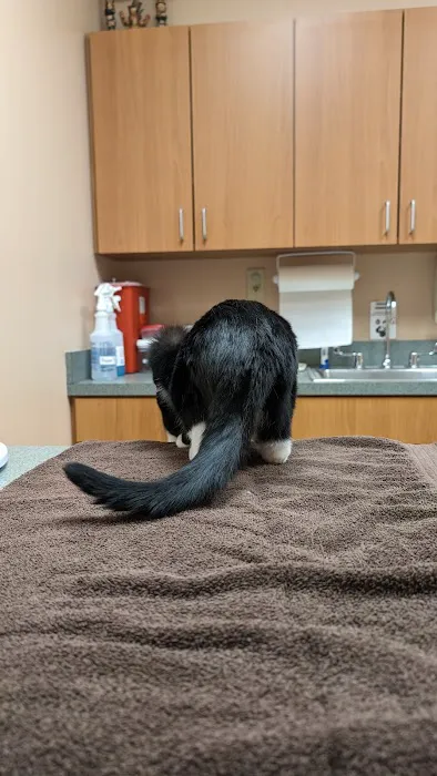 VCA White Oak Animal Hospital 3
