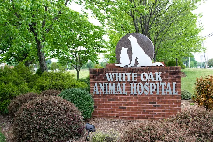 VCA White Oak Animal Hospital 9