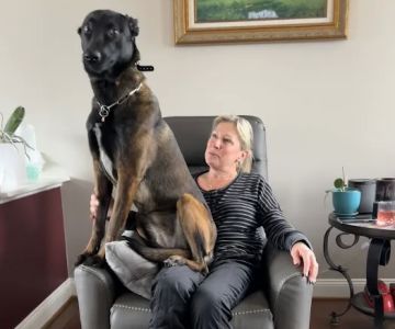White Oak Animal Hospital: Pepper Sandy L DVM