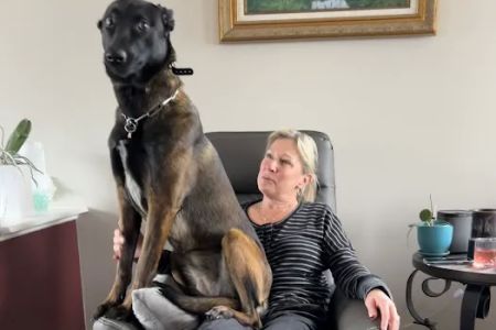 White Oak Animal Hospital: Pepper Sandy L DVM