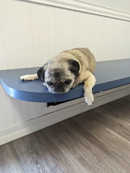 Ferry Farm Animal Clinic 4