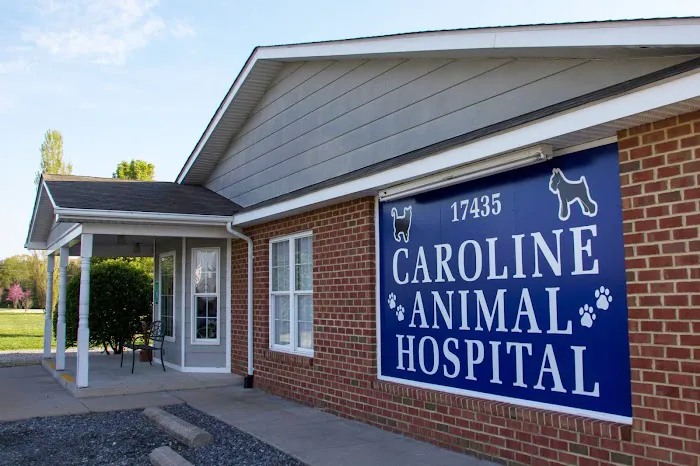 Caroline Animal Hospital 10