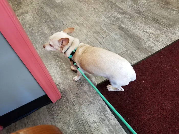 Caroline Animal Hospital 1