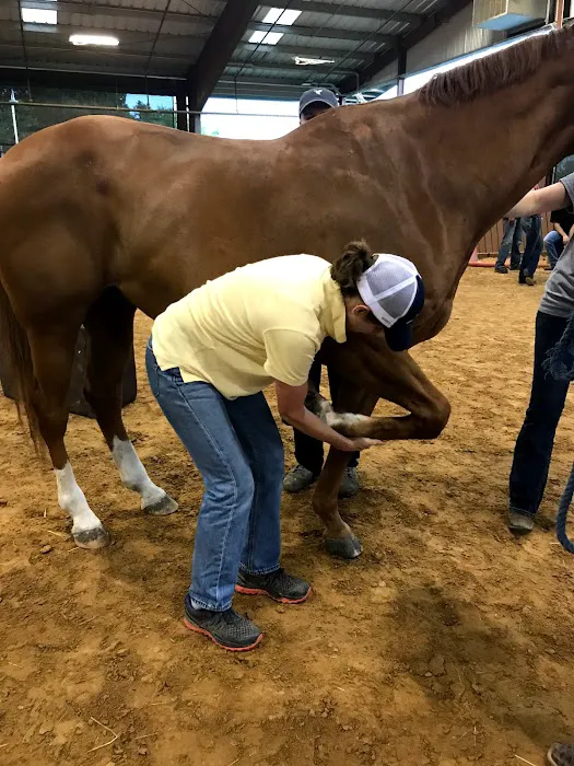 Olde Towne Equine - Dr. Kate Moga DVM, ACCC/AVCA 8