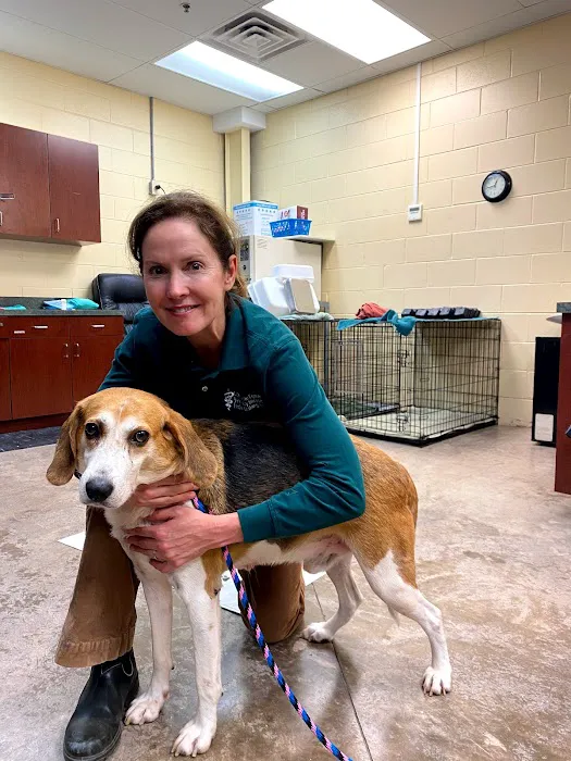 Olde Towne Equine - Dr. Kate Moga DVM, ACCC/AVCA 5