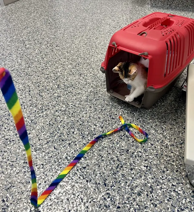 Littlepage Animal Hospital 8